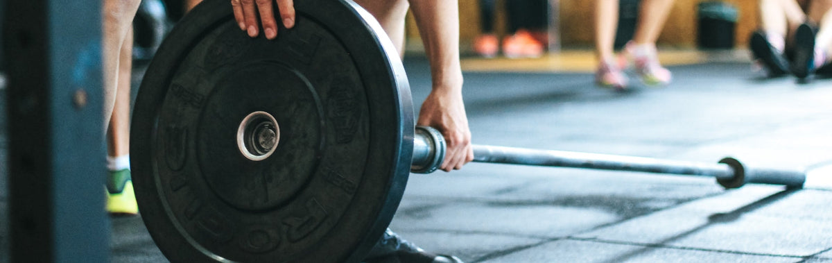 Bumper Plates