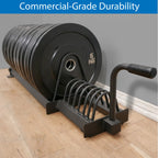 Extended Weight Plate Storage Rack