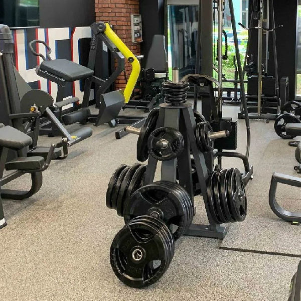 WEIGHT PLATE STORAGE
