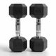 Pairs / 10.0kg