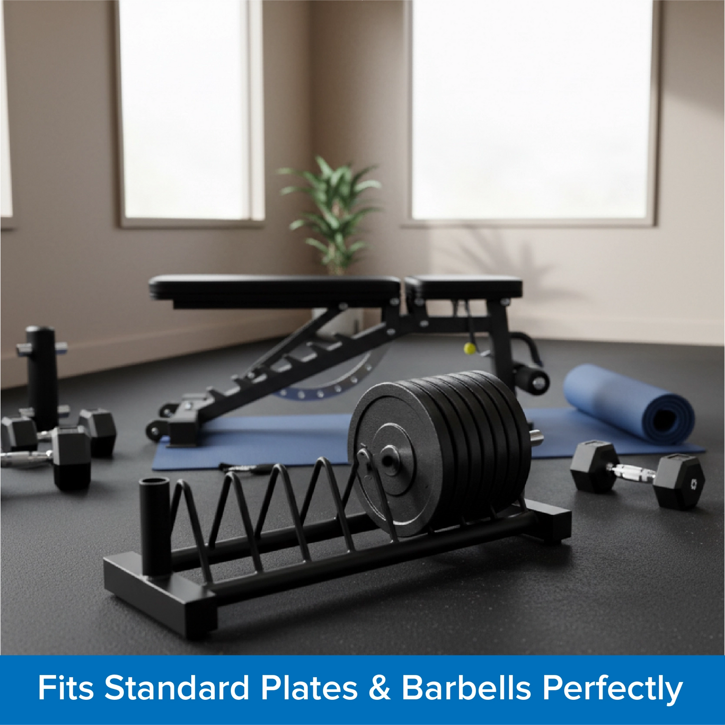 Horizontal Weight Plate Rack